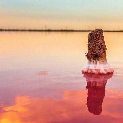 组装机械破城龙